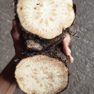 এটো/গোড়ার চুইঝাল ১ কেজি