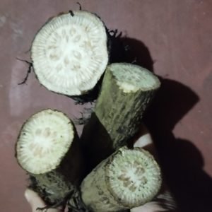 মিক্স চুইঝাল (গাছ + এটো) ১ কেজি
